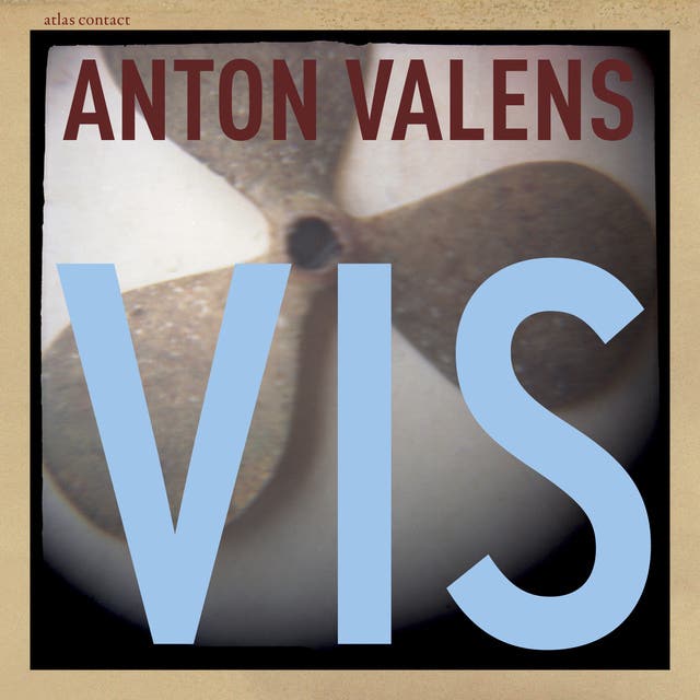 Vis