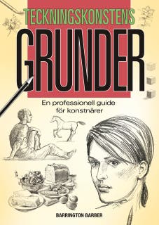 Teckningskonstens Grunder: En Professionell Guide För Konstnärer