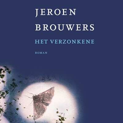 Het verzonkene