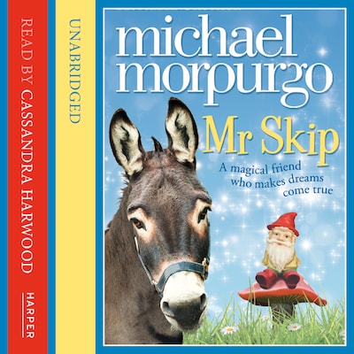 Mr Skip