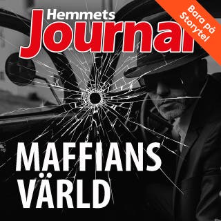 Maffians värld