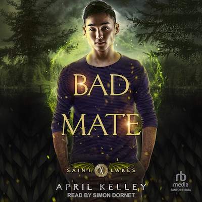 Bad Mate – omslag til lydbogen af April Kelley