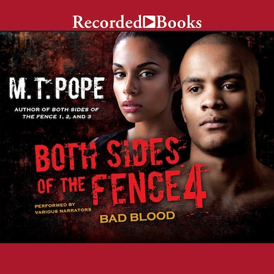 Both Sides of the Fence 4 – omslag van het luisterboek van M.T. Pope