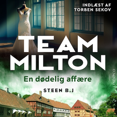 En dødelig affære – omslag til lydbogen af Steen B. J.