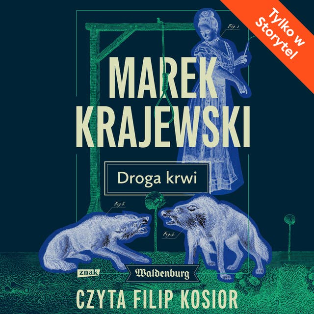 Droga krwi