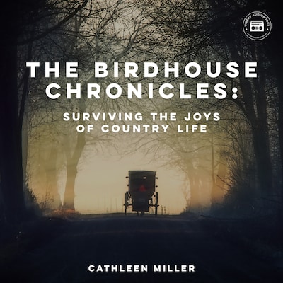 The Birdhouse Chronicles: Surviving the Joys of Country Life