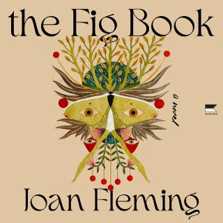 The Fig Book: A Novel