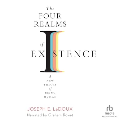 The Four Realms of Existence – omslag til lydbogen af Joseph E. LeDoux