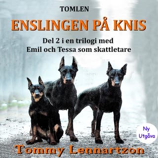 Enslingen på Knis : Del 2 i en trilogi med Emil och Tessa på skattjakt