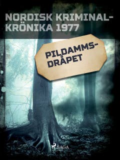 Pildammsdråpet