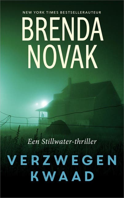 Verzwegen kwaad: Stillwater-trilogie 3