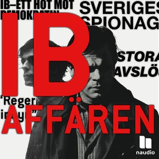 Vem är spion? – omslag till ljudboken av Frida Anund,Naudio,Tove Friman Leffler