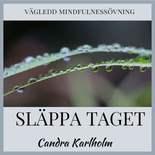 Släppa taget: En vägledd mindfulnessmeditation