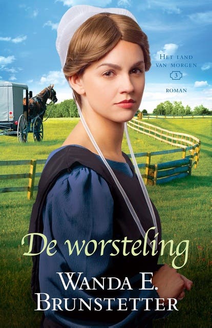 De worsteling: roman – omslag van het luisterboek van Wanda E. Brunstetter