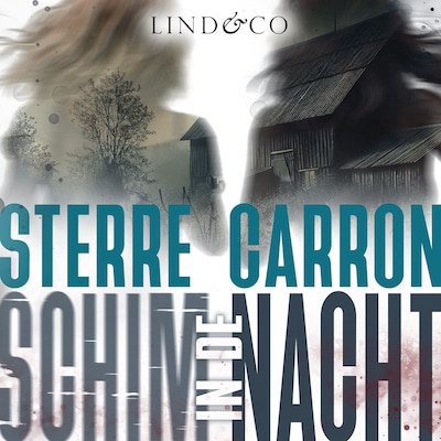 Schim in de nacht