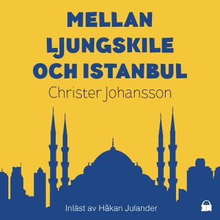 Mellan Ljungskile och Istanbul