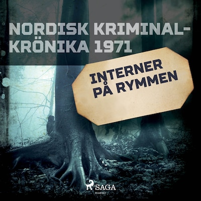 Interner på rymmen