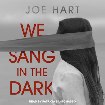 We Sang in the Dark – omslag til lydbogen af JOE HART