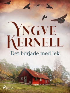 Det började med lek – omslag till ljudboken av Yngve Kernell