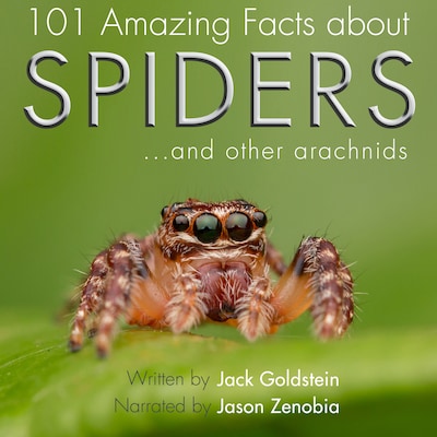 101 Amazing Facts about Spiders – omslag til lydbogen af Jack Goldstein