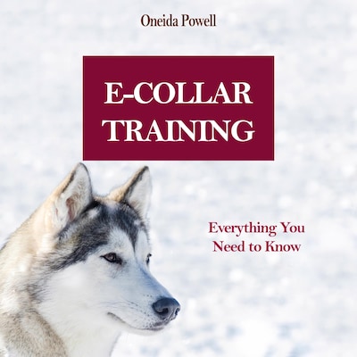 E-COLLAR TRAINING: Everything You Need to Know