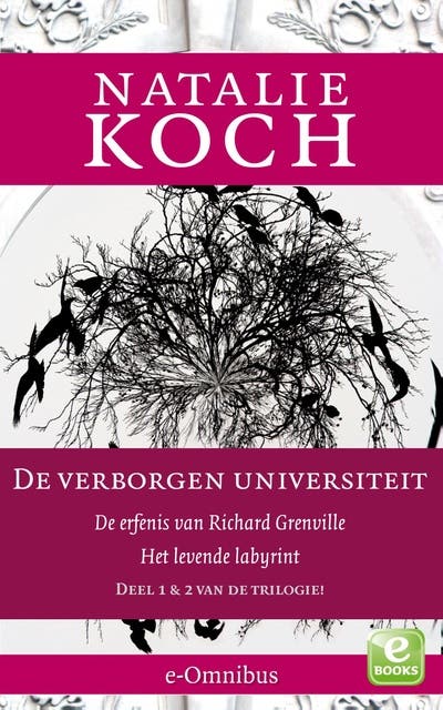 De erfenis van Richard Grenville; Het levende labyrint – omslag van het luisterboek van Natalie Koch