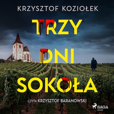 Trzy dni Sokoła – okładka audiobooka, autor Krzysztof Koziołek