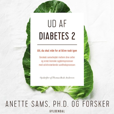 Ud af diabetes 2 – omslag til lydbogen af Anette Sams, Thomas Rode Andersen