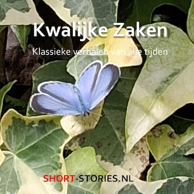 Kwalijke zaken
