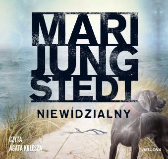 Niewidzialny – okładka audiobooka, autor Mari Jungstedt