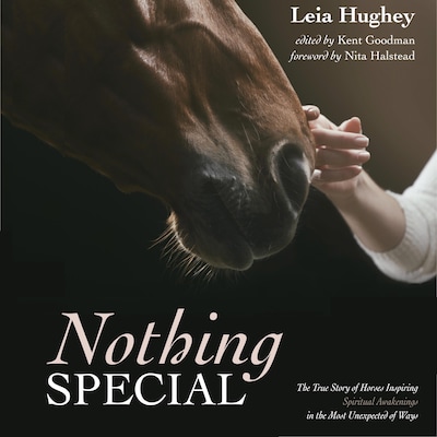 Nothing Special.  The True Story of Horses Inspiring Spiritual Awakening in the Most Unexpected of Ways
