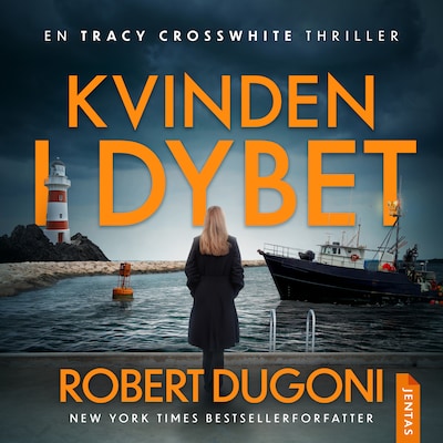 Kvinden i dybet – omslag til lydbogen af Robert Dugoni