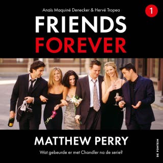 Matthew Perry: Wat gebeurde er met Chandler na de serie?