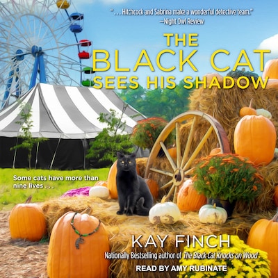 The Black Cat Sees His Shadow – omslag til lydbogen af Kay Finch