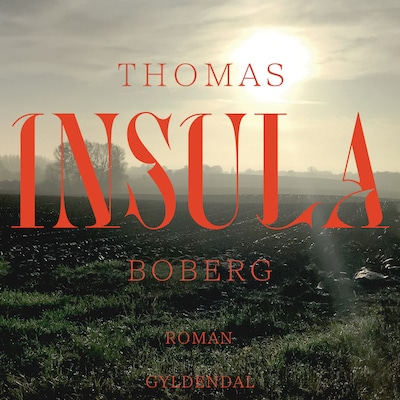 Insula – omslag til lydbogen af Thomas Boberg