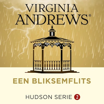 Een bliksemflits