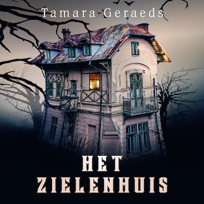 Het Zielenhuis