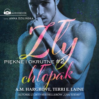 Zły chłopak – okładka audiobooka, autor Terri E. Laine, A.M. Hardgrove