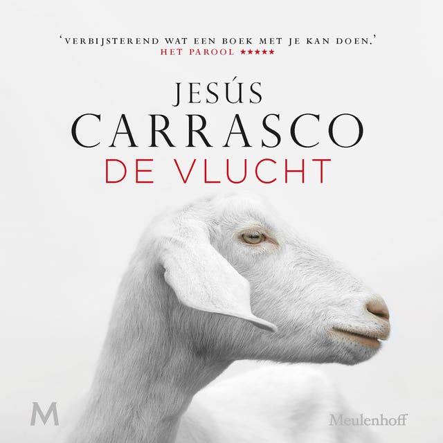 De vlucht