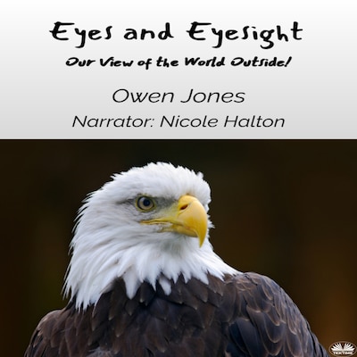Eyes And Eyesight