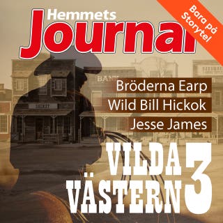 Vilda Västern 3