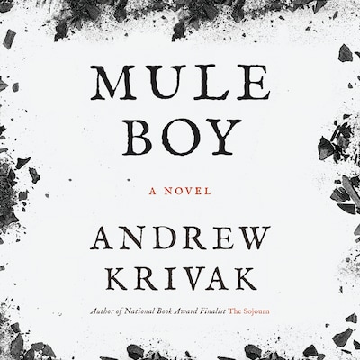 Mule Boy – omslag til lydbogen af Andrew Krivak