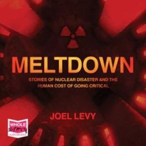 Meltdown – okładka audiobooka, autor Joel Levy