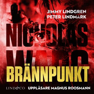 Brännpunkt – omslag till ljudboken av Jimmy Lindgren,Peter Lindmark