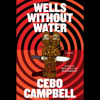 Wells Without Water: A Novel
