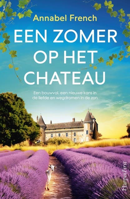 Een zomer op het chateau: Een bouwval, een nieuwe kans in de liefde en wegdromen in de zon