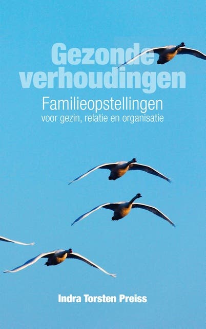 Gezonde verhoudingen: familieopstellingen voor gezin, relatie en organisatie – omslag van het luisterboek van Indra Torsten Preiss