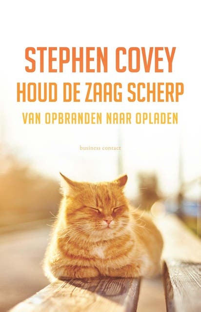 Houd de zaag scherp: van opbranden naar opladen – omslag van het luisterboek van Stephen Covey
