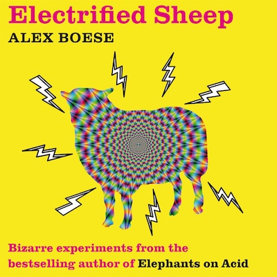 Electrified Sheep