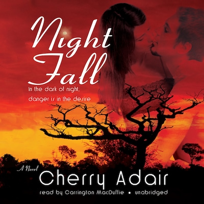 Night Fall – omslag til lydbogen af Cherry Adair